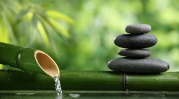 La meditazione consapevole: Mindfulness