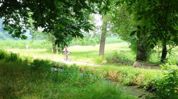 Park & e-Bike Park & e-Bike